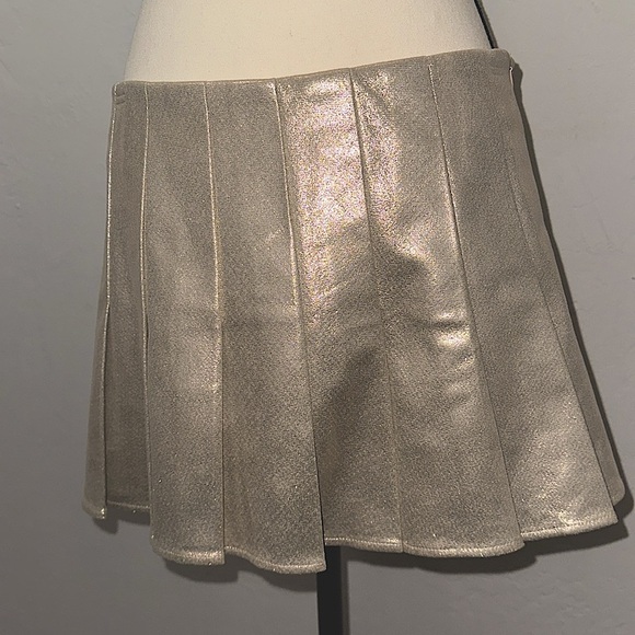 AKIRA Dresses & Skirts - NWOT Akira Glittery Champagne Pleated Sexy Skirt Size Small